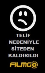 Kedi Kadın – Catwoman izle Türkçe Dublaj | Altyazılı izle