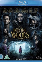 Sihirli Orman Into The Woods 2014 1080p Anamorphic Siyah Bantsız Bluray Türkçe Altyazı izle